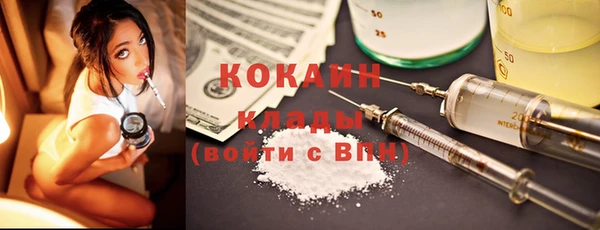 шишки Мегион