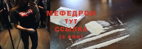 индика Богородск