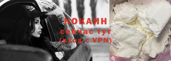 шишки Мегион