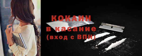 шишки Мегион