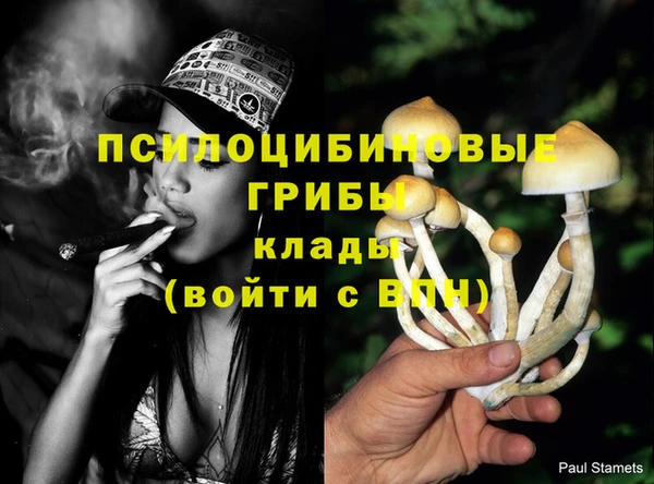 экстази Медногорск