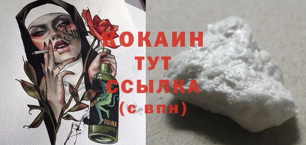 шишки Мегион