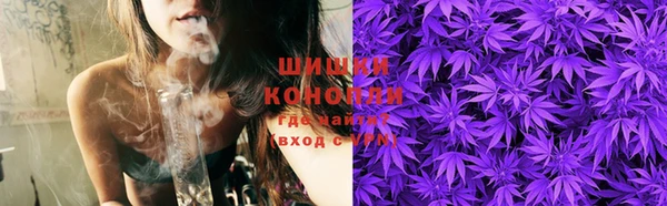 шишки Мегион
