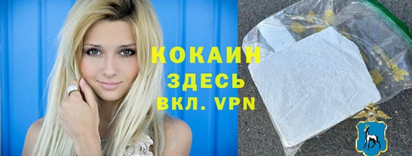 шишки Мегион