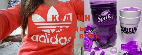 шишки Мегион