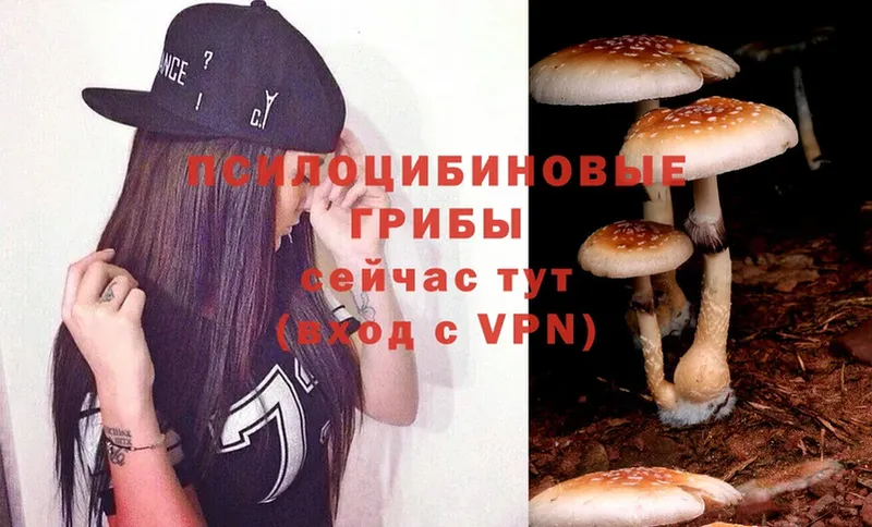 Галлюциногенные грибы Cubensis Калач