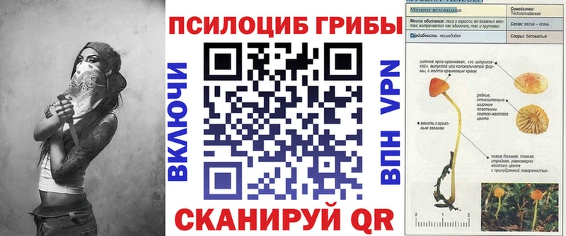 Галлюциногенные грибы мухоморы Калач